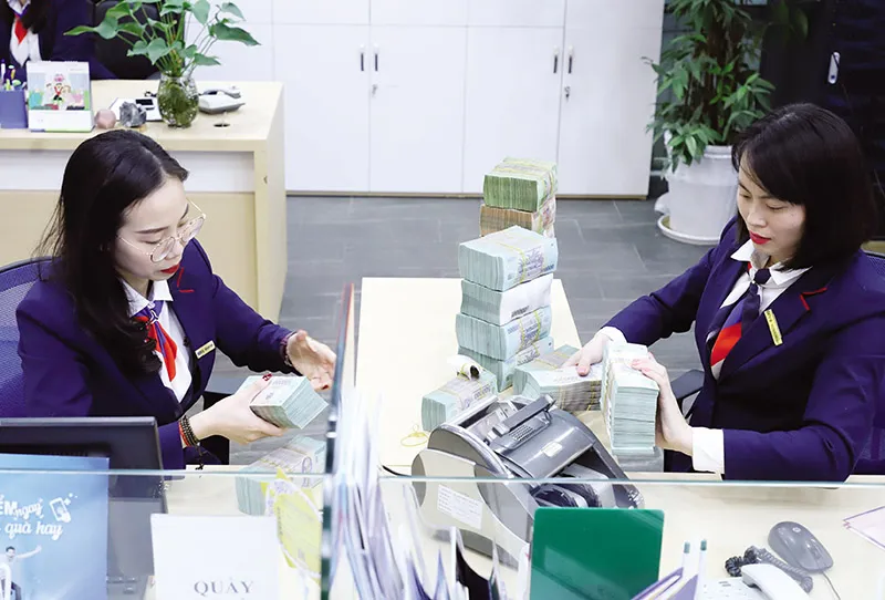 Sắp xếp tổ chức Đảng trong các tập đoàn kinh tế, tổng công ty, ngân hàng thương mại Nhà nước - Ảnh 1.