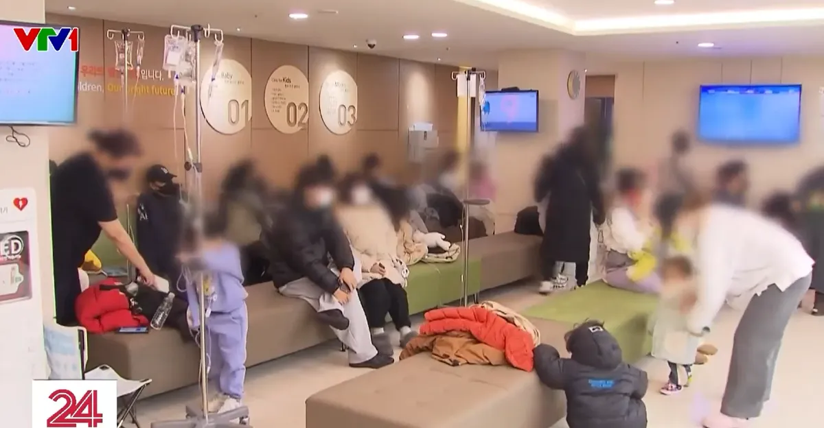 Dịch cúm bùng phát sớm và mạnh tại Hàn Quốc- Ảnh 1.