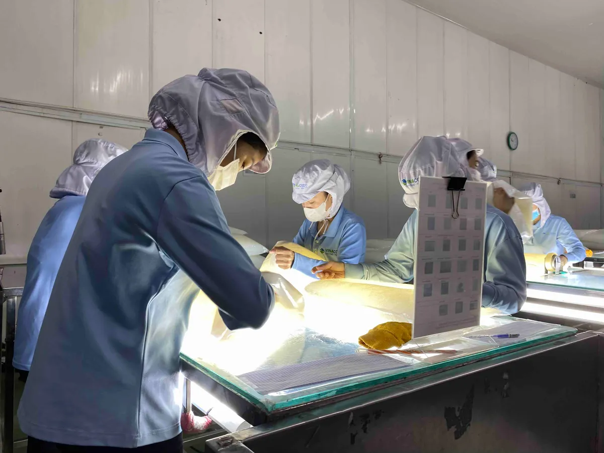 Carbon thấp: tấm 'hộ chiếu' mới của nông sản Việt- Ảnh 2. Carbon thấp: tấm 'hộ chiếu' mới của nông sản Việt- Ảnh 2.