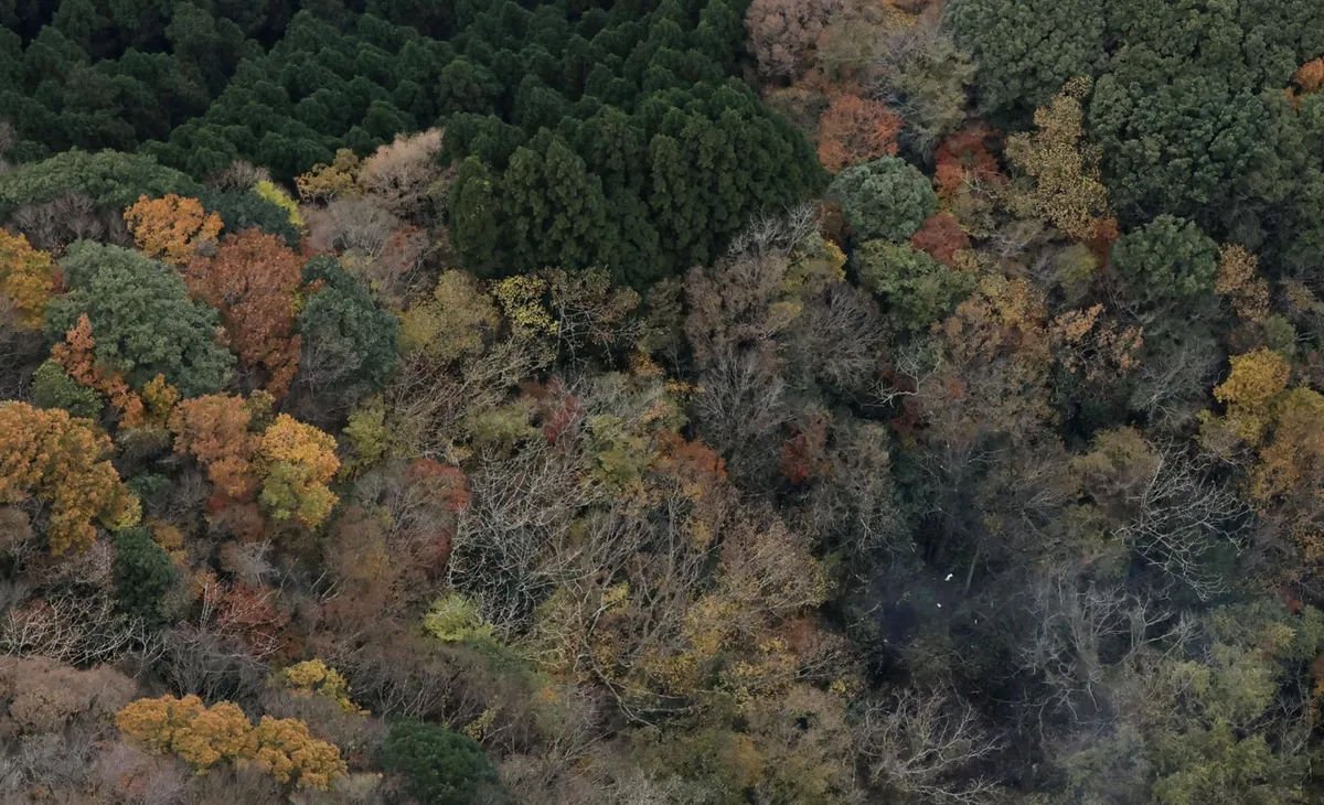 Rơi máy bay tại Nhật Bản, 3 người trên khoang thiệt mạng - Ảnh 1.