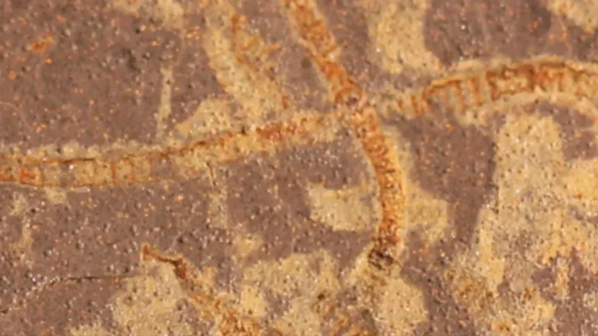 Công bố bằng chứng rõ nhất về sự sống cổ xưa trên Trái đất - Ảnh 2.