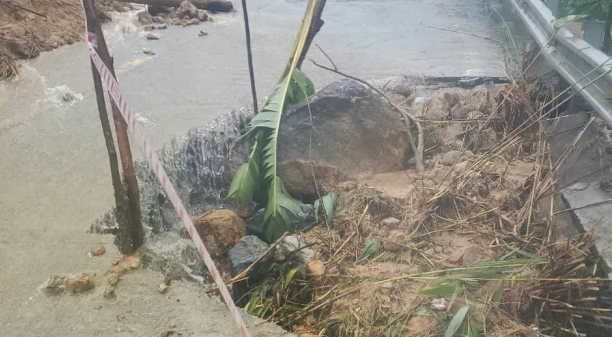 Sạt lở vùi lấp vùi lấp 1 nhà dân và đường Trường Sơn Đông ở Quảng Ngãi - Ảnh 1.