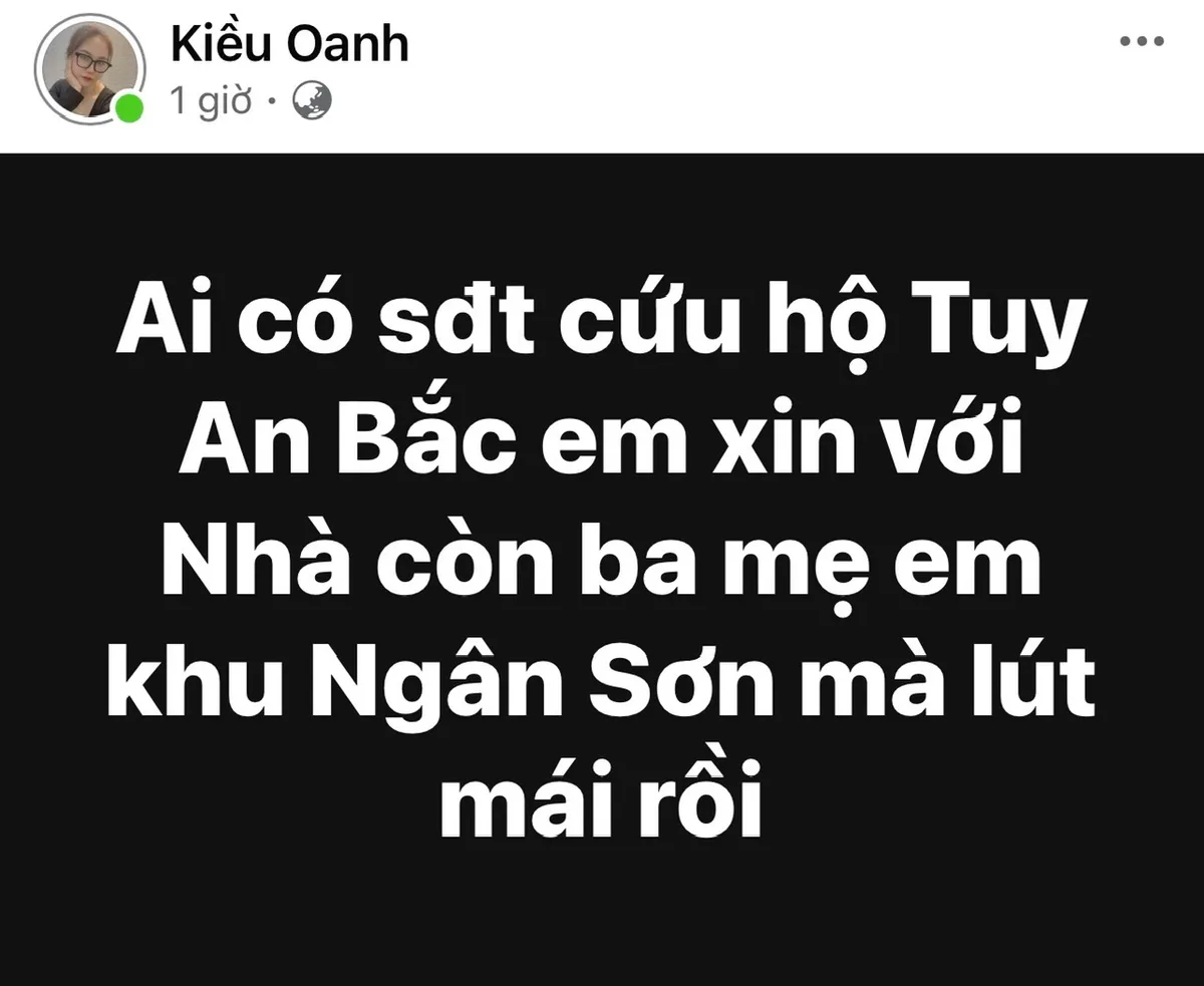 Đắk Lắk: Nước lũ dâng cao trong đêm, nhiều nhà dân bị ngập đến nóc, người dân hoảng loạn cầu cứu - Ảnh 9.