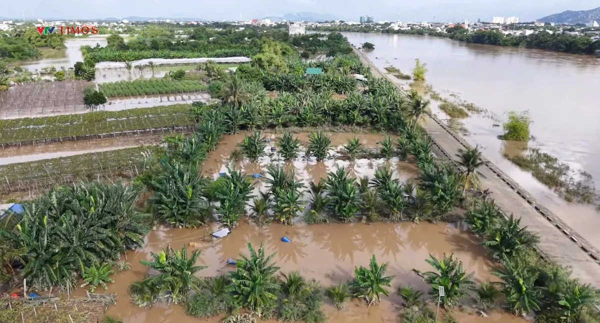 Khánh Hòa: Mưa lũ làm 10 người chết, 2 mất tích. Kích hoạt phương án ứng phó khẩn cấp - Ảnh 2.