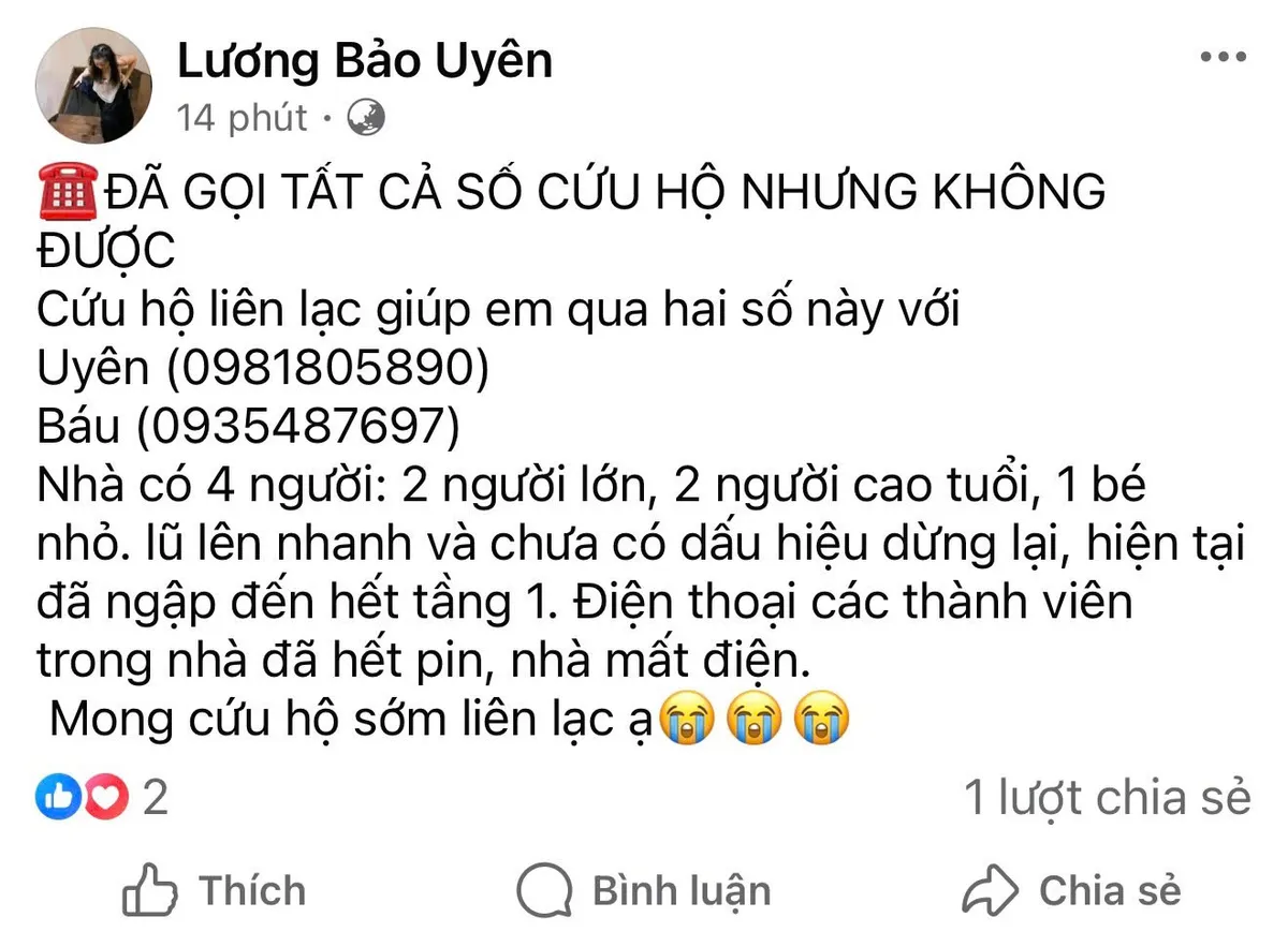 Người dân tại các tỉnh miền Trung kêu cứu do nước lũ dâng cao - Ảnh 10.