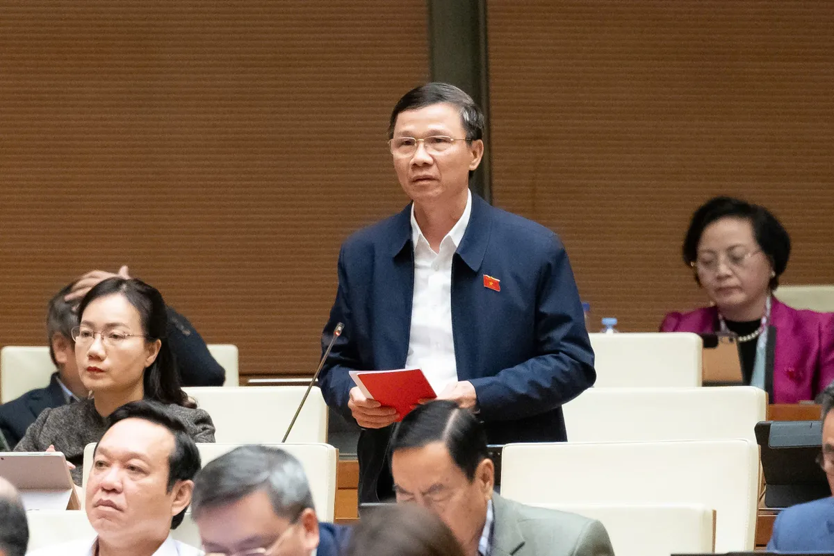 ĐBQH đề nghị xem xét mô hinh đại học vùng có nên tồn tại hay không? - Ảnh 1.