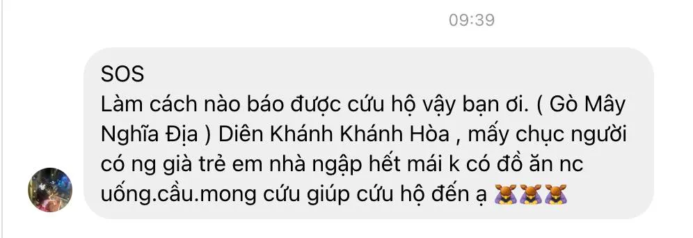 Người dân tại các tỉnh miền Trung kêu cứu do nước lũ dâng cao - Ảnh 3.