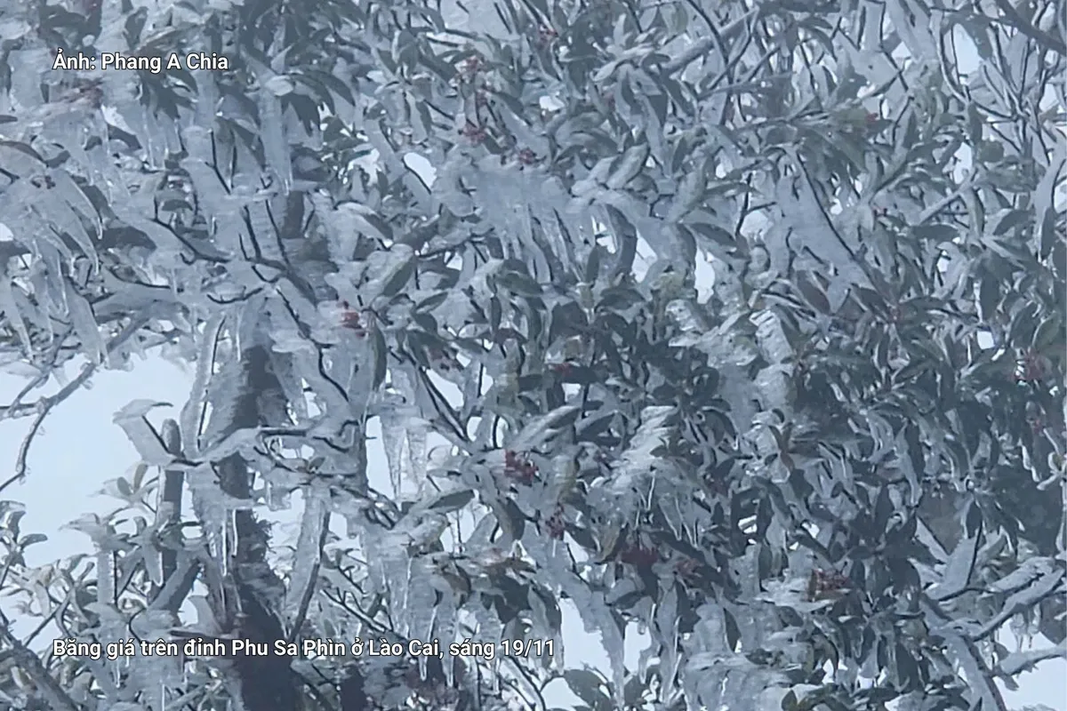 Đỉnh núi cao ở Lào Cai, Lai Châu xuất hiện băng giá dày do nhiệt độ xuống dưới 0 độ C - Ảnh 2.