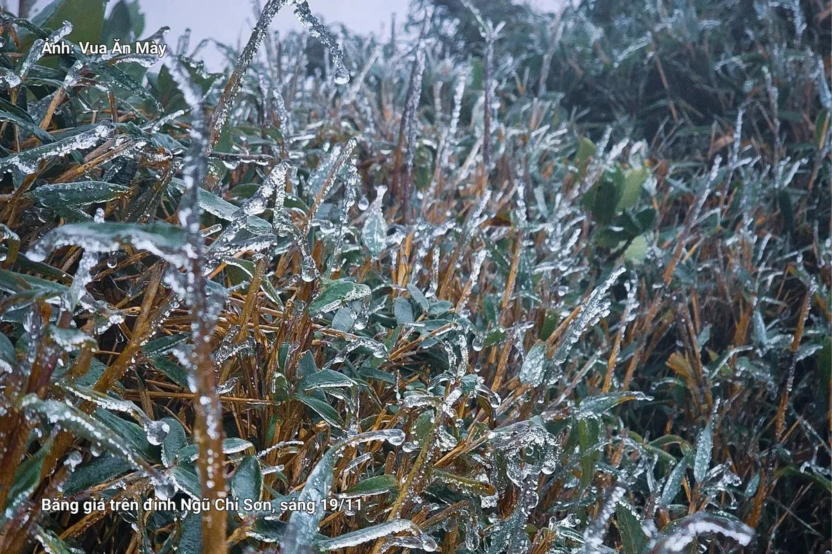 Đỉnh núi cao ở Lào Cai, Lai Châu xuất hiện băng giá dày do nhiệt độ xuống dưới 0 độ C - Ảnh 1.