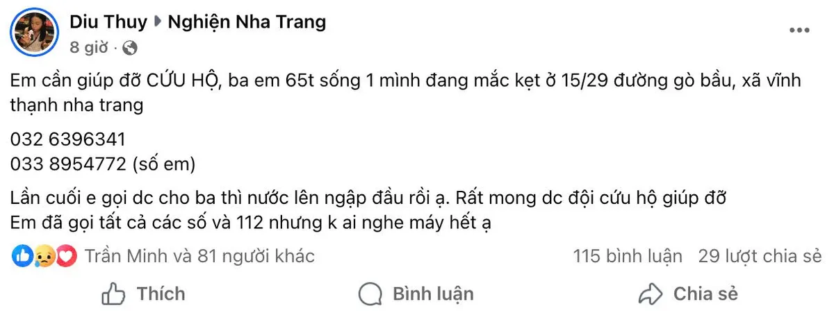 Người dân tại các tỉnh miền Trung kêu cứu do nước lũ dâng cao - Ảnh 7.