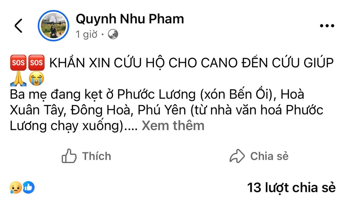 Người dân tại các tỉnh miền Trung kêu cứu do nước lũ dâng cao - Ảnh 8.