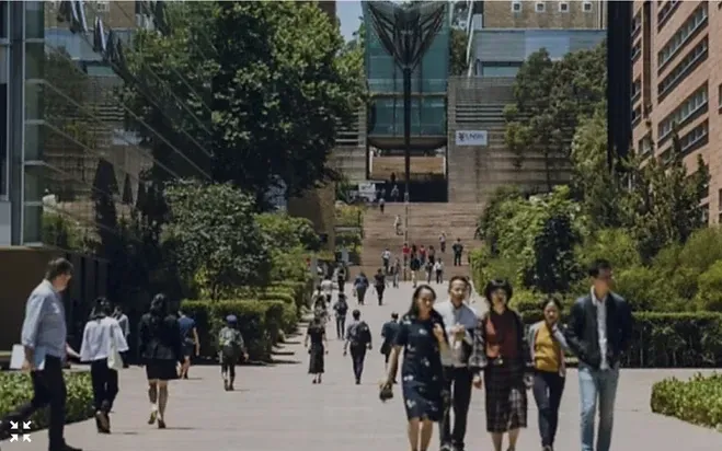 (Ảnh: Cyperdaily.au)