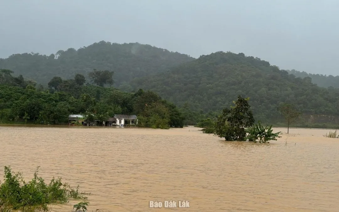 Nhiều khu vực ở thôn Buôn Triết, xã Dur Kmăl bị cô lập do nước lũ dâng cao. 
