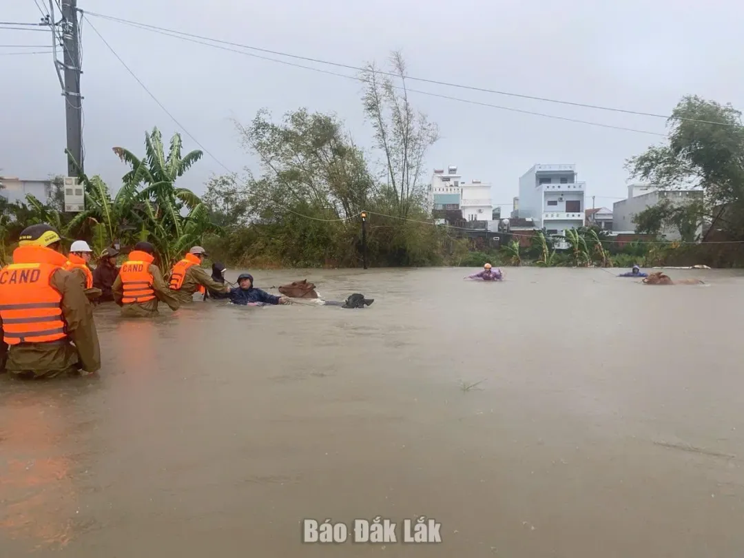 Mưa lũ làm 15 người chết và mất tích, hơn 33.000 nhà ngập sâu tại Đắk Lắk- Ảnh 1. Mưa lũ làm 15 người chết và mất tích, hơn 33.000 nhà ngập sâu tại Đắk Lắk- Ảnh 1.