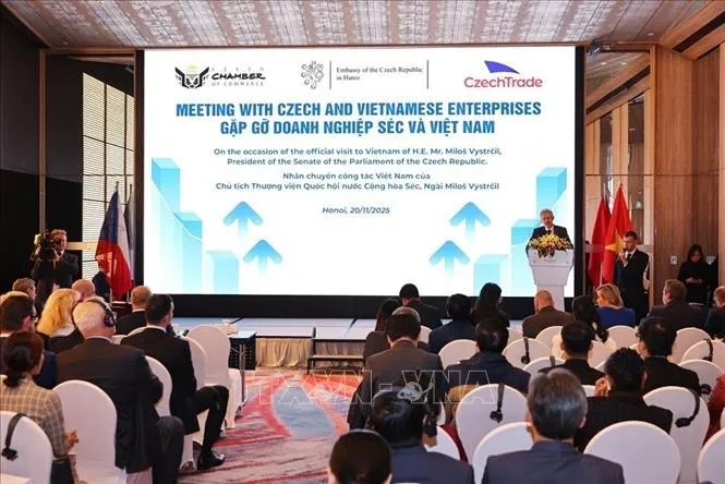 Doanh nghiệp Việt Nam v&agrave; S&eacute;c c&ograve;n nhiều tiềm năng để hợp t&aacute;c - Ảnh 1.