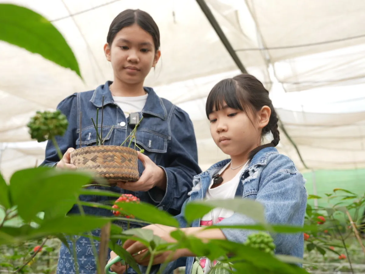 Cha con vạn dặm: Ông bố đưa con gái lên núi trồng sâm và những bài học giá trị  - Ảnh 2.