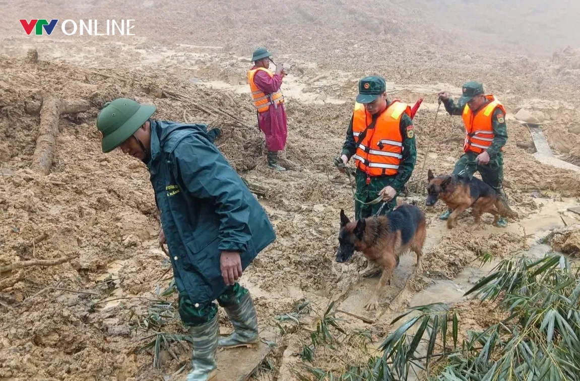 Nỗ lực t&igrave;m kiếm nạn nh&acirc;n mất t&iacute;ch ở H&ugrave;ng Sơn, Đ&agrave; Nẵng - Ảnh 1.