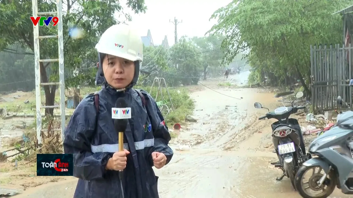 tc24h-2111-3 bảo lộc.jpg