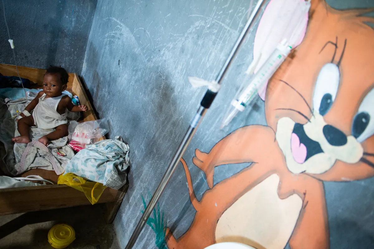 “Bóng ma” dịch tả trở lại - Ảnh 1.