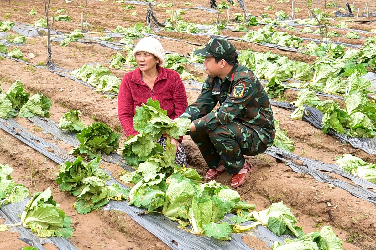 Quân khu 7 hỗ trợ người dân Lâm Đồng khắc phục hậu quả sau lũ- Ảnh 1.