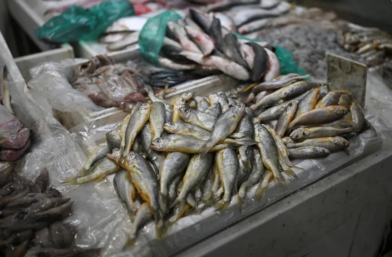 Trung Quốc, Nhật Bản nêu lập trường về quan hệ song phương - Ảnh 1. Trung Quốc, Nhật Bản nêu lập trường về quan hệ song phương - Ảnh 1.