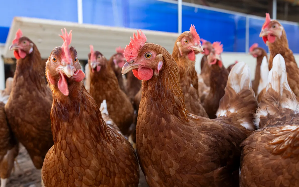 (Ảnh minh họa: AFP)
