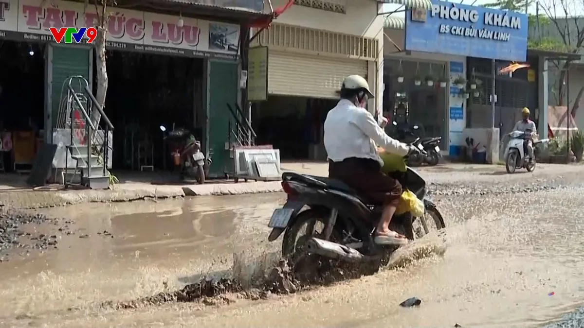 pnhn-2211-3 alo 2.jpg