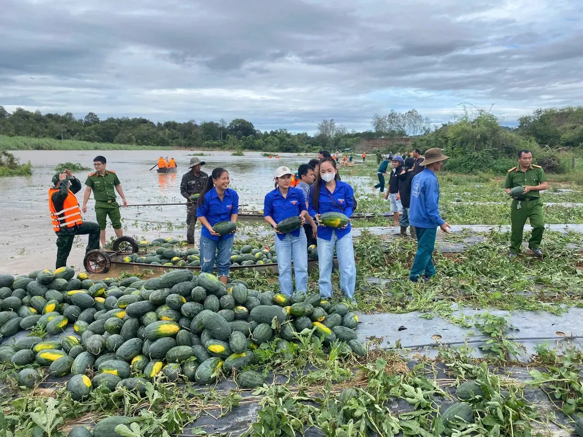 Đắk Lắk: Bộ đội, Công an hỗ trợ người dân thu hoạch nông sản - Ảnh 3.