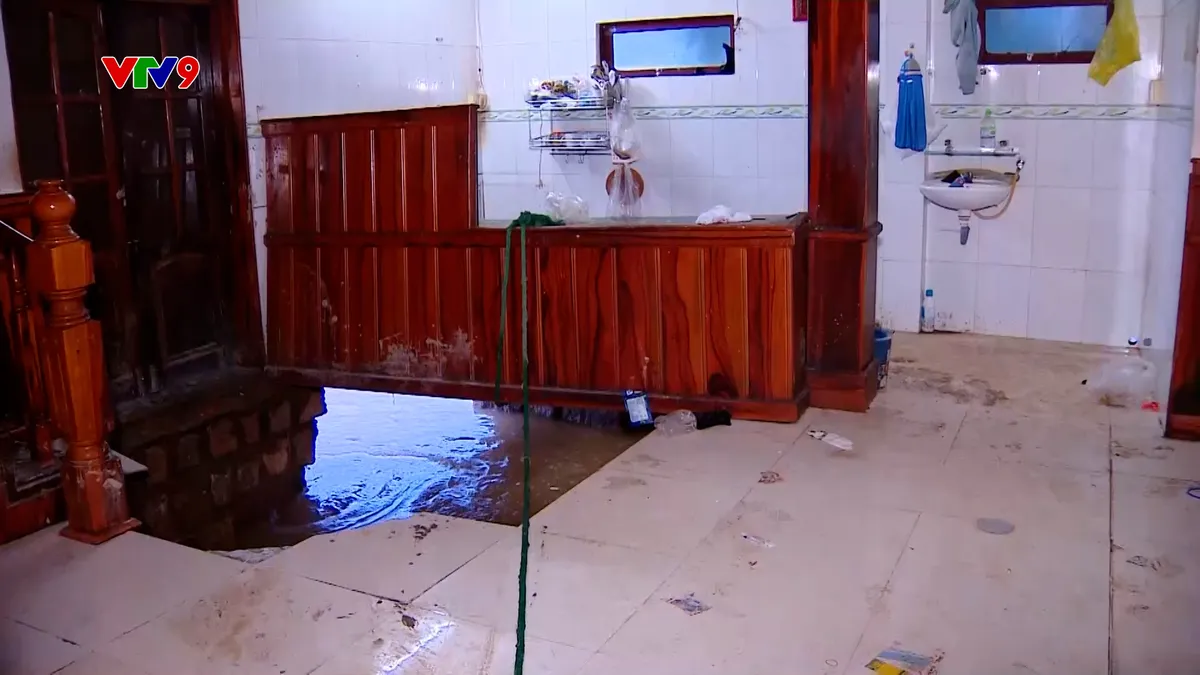 pnhn-2311-2 lũ cuốn 1 phần nền nhà.jpg