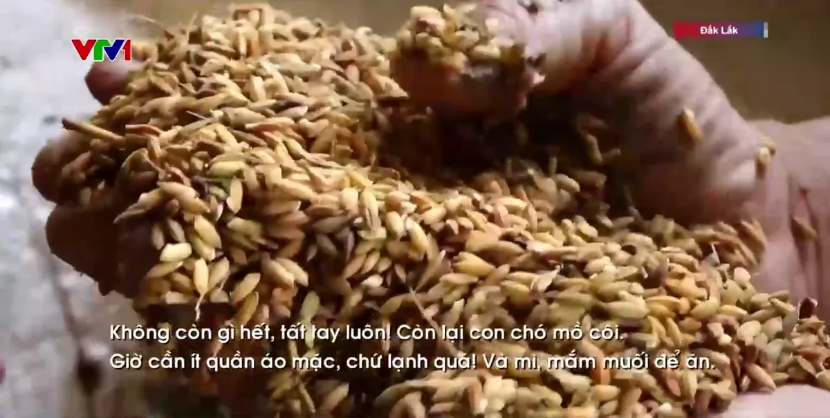 Người dân cần gì để bắt đầu lại cuộc sống sau lũ? - Ảnh 1.