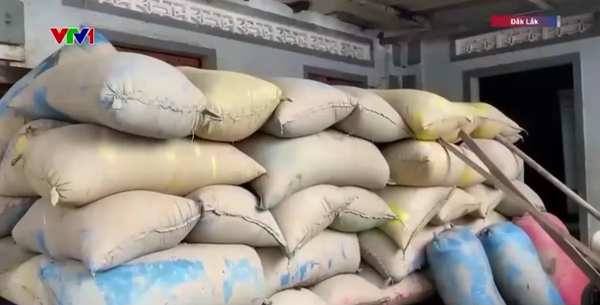 Người dân cần gì để bắt đầu lại cuộc sống sau lũ? - Ảnh 4.