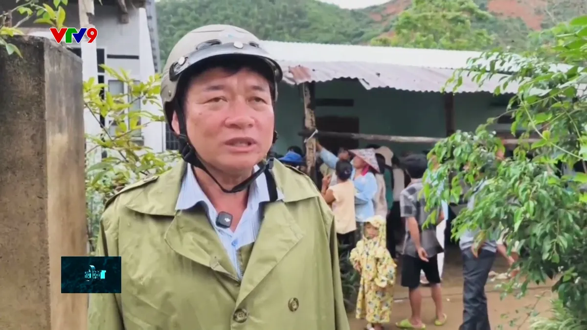 tc24h-2311-3 ng quốc đông.jpg