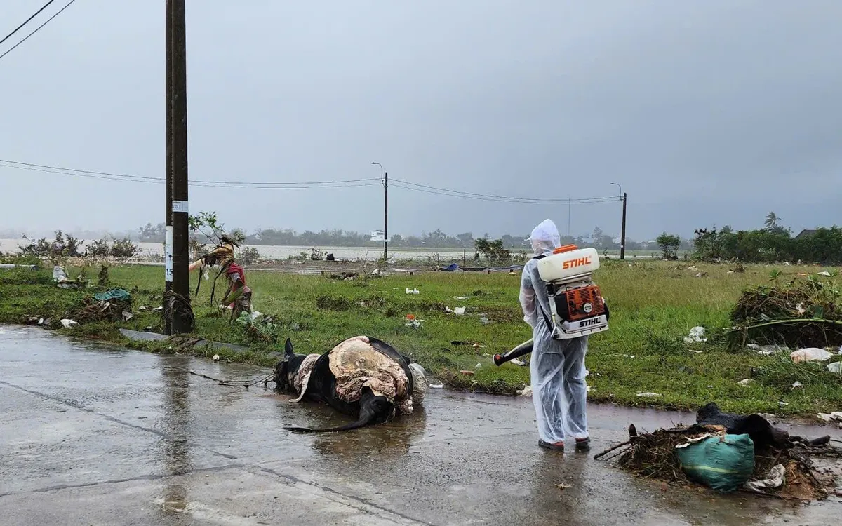 Vệ sinh môi trường, tiêu độc, khử trùng ngăn dịch bệnh bùng phát sau bão lũ.