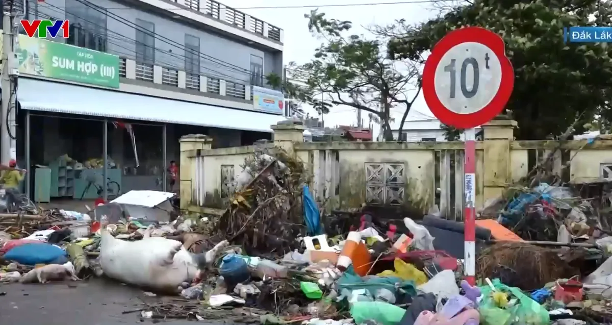 Xác lợn, gà nằm ngổn ngang sau lũ, Đắk Lắk khẩn trương xử lý môi trường - Ảnh 1.