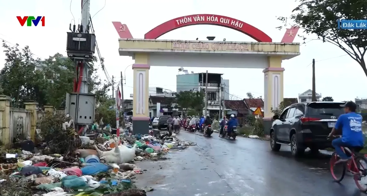 Xác lợn, gà nằm ngổn ngang sau lũ, Đắk Lắk khẩn trương xử lý môi trường - Ảnh 2.