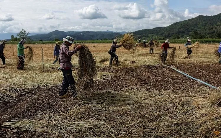 Sông Kok tại khu vực Tha Ton, huyện Mae Ai, tỉnh Chiang Mai, Thái Lan. (Ảnh: Wiki)