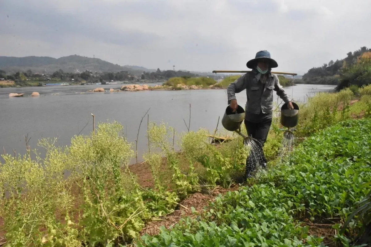 Nghiên cứu: Các mỏ độc hại đe dọa sông ngòi và cộng đồng Đông Nam Á - Ảnh 1.