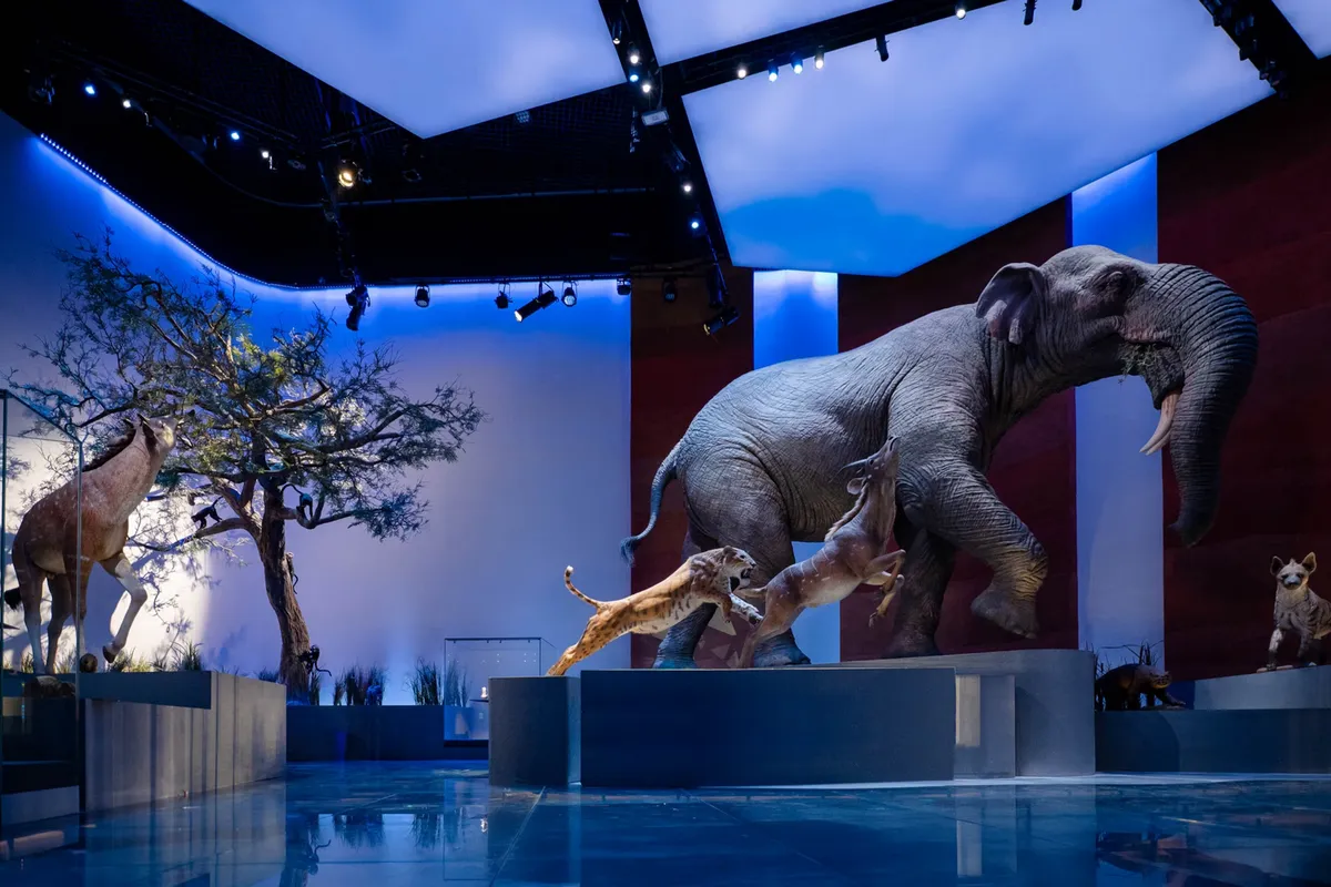 Thăm bảo t&agrave;ng lịch sử tự nhi&ecirc;n lớn nhất Trung Đ&ocirc;ng- Ảnh 1.