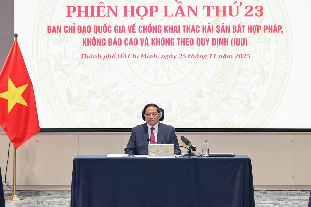 Thủ tướng: Hoàn thành dứt điểm đúng hạn các nhiệm vụ chống khai thác IUU - Ảnh 3.