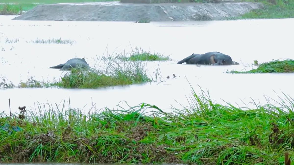 TRỰC TIẾP cầu truyền hình đặc biệt 'Vượt qua lũ dữ' (20h10, VTV1) - Ảnh 3.