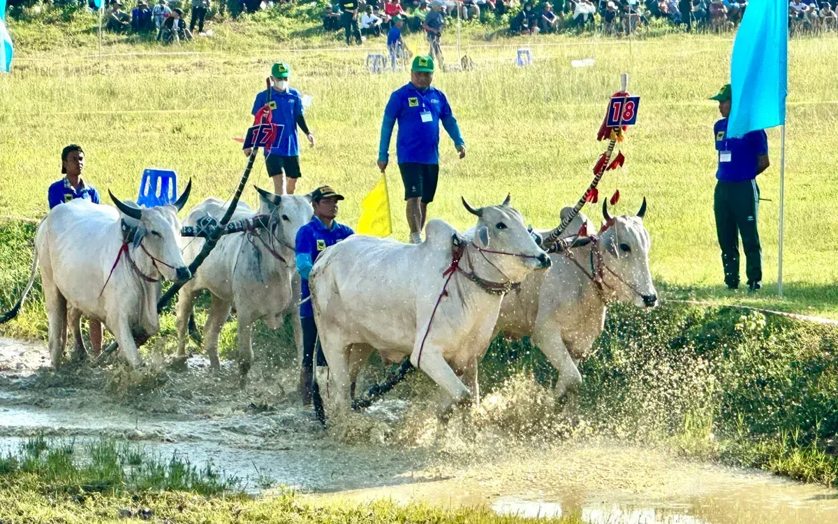 Nouveau record du tourisme à An Giang - Photo 6.