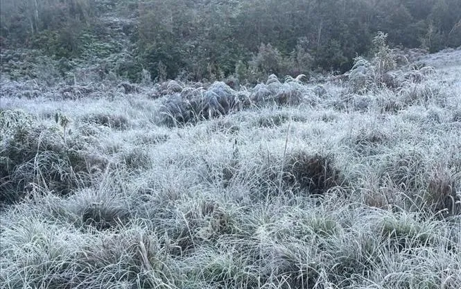 Băng tuyết phủ trắng núi rừng, ruộng đồng Y Tý, tỉnh Lào Cai. Ảnh: TTXVN 