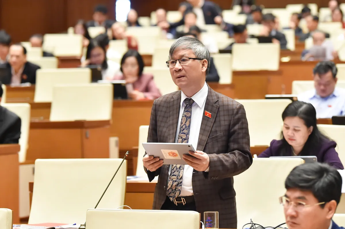 Đại biểu Quốc hội đề nghị cấm tuyệt đối kinh doanh "bóng cười" - Ảnh 1.