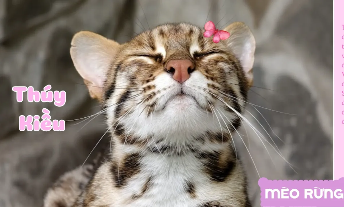 Thảo Cầm Viên Sài Gòn ra mắt bộ lịch “Yêu thương đong đầy” sẻ chia cùng đồng bào vùng lũ- Ảnh 5.