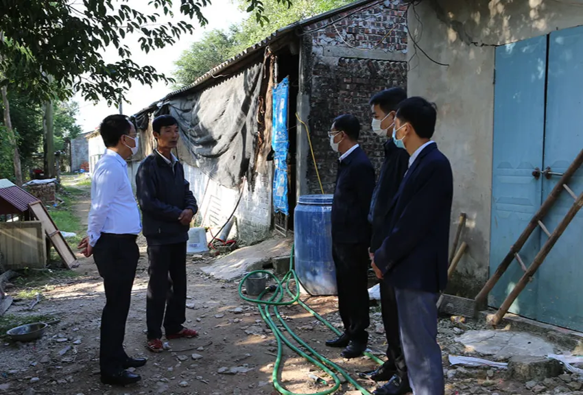 Ninh B&igrave;nh quyết liệt ngăn chặn dịch tả lợn Ch&acirc;u Phi t&aacute;i b&ugrave;ng ph&aacute;t - Ảnh 2.