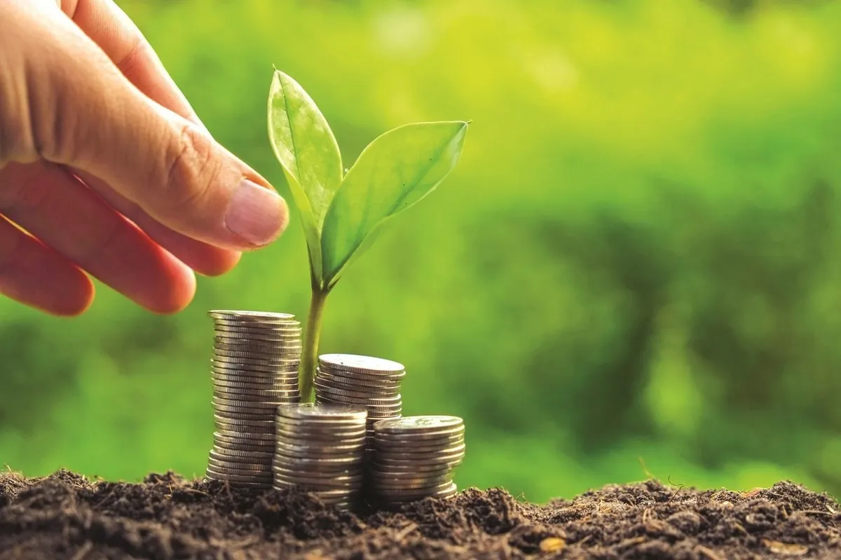 Tăng trưởng xanh: Chiều sâu quan trọng hơn tốc độ- Ảnh 2.