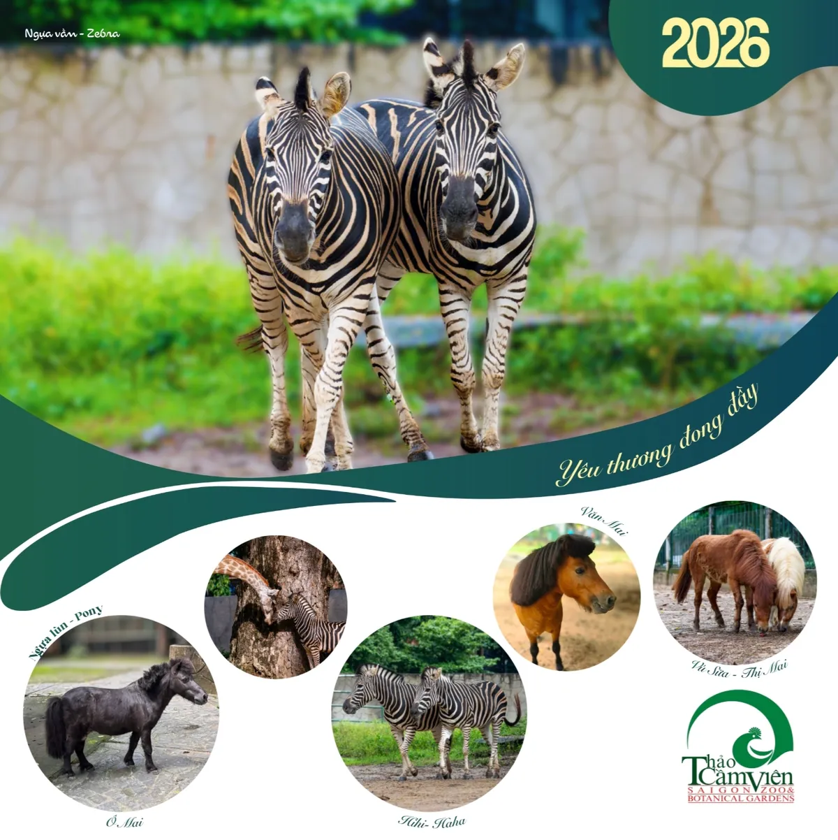 Thảo Cầm Viên Sài Gòn ra mắt bộ lịch “Yêu thương đong đầy” sẻ chia cùng đồng bào vùng lũ- Ảnh 8.