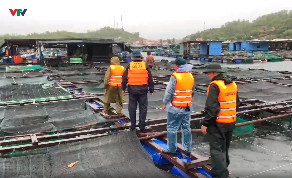 Khánh Hòa: Cấm biển từ 7 giờ ngày 28-11 để ứng phó bão số 15 - Ảnh 1.