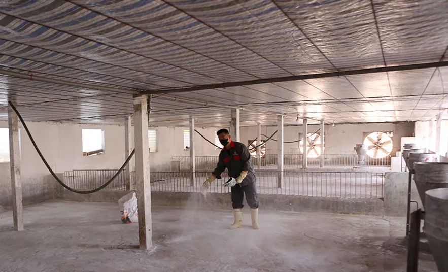 Ninh B&igrave;nh quyết liệt ngăn chặn dịch tả lợn Ch&acirc;u Phi t&aacute;i b&ugrave;ng ph&aacute;t - Ảnh 3.