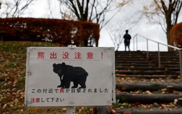Biển cảnh báo gấu tại Nhật Bản, sau khi truyền thông đưa tin một người đàn ông bị gấu tấn công trong nhà vệ sinh công cộng (Ảnh: EPA)
